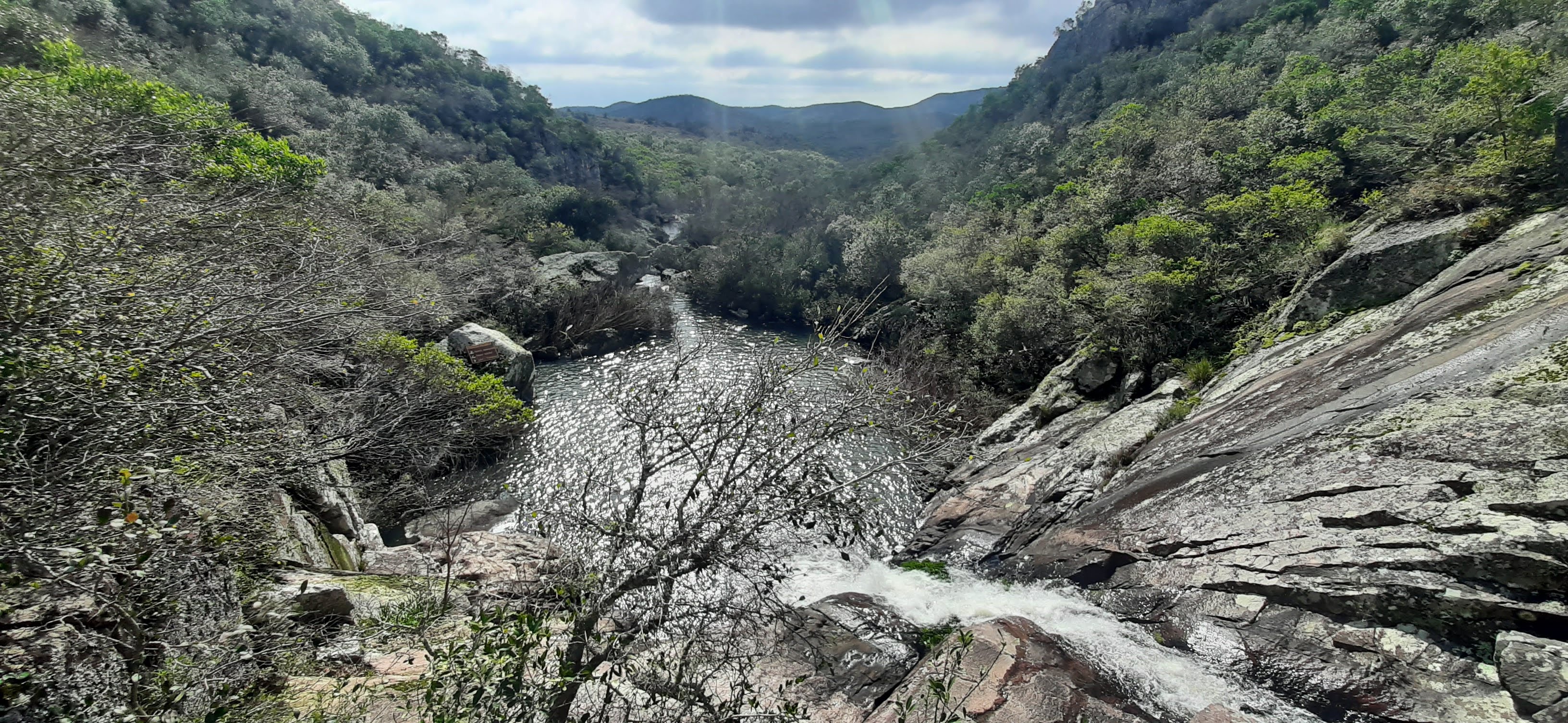 Lavalleja